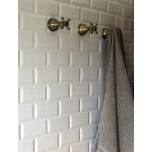 BISELADO Blanco 10x20