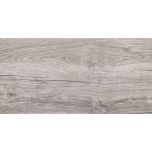 DAKOTA Grey 30x60 DC