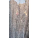 - 120x60 DEL Brown polirani granit E