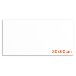 30x60 SUPER White Matt RETT N