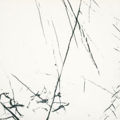 Polirani granit AGATHA White 60x60 granit N