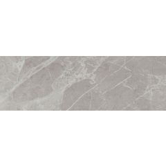 RENOIR Gris 20x60