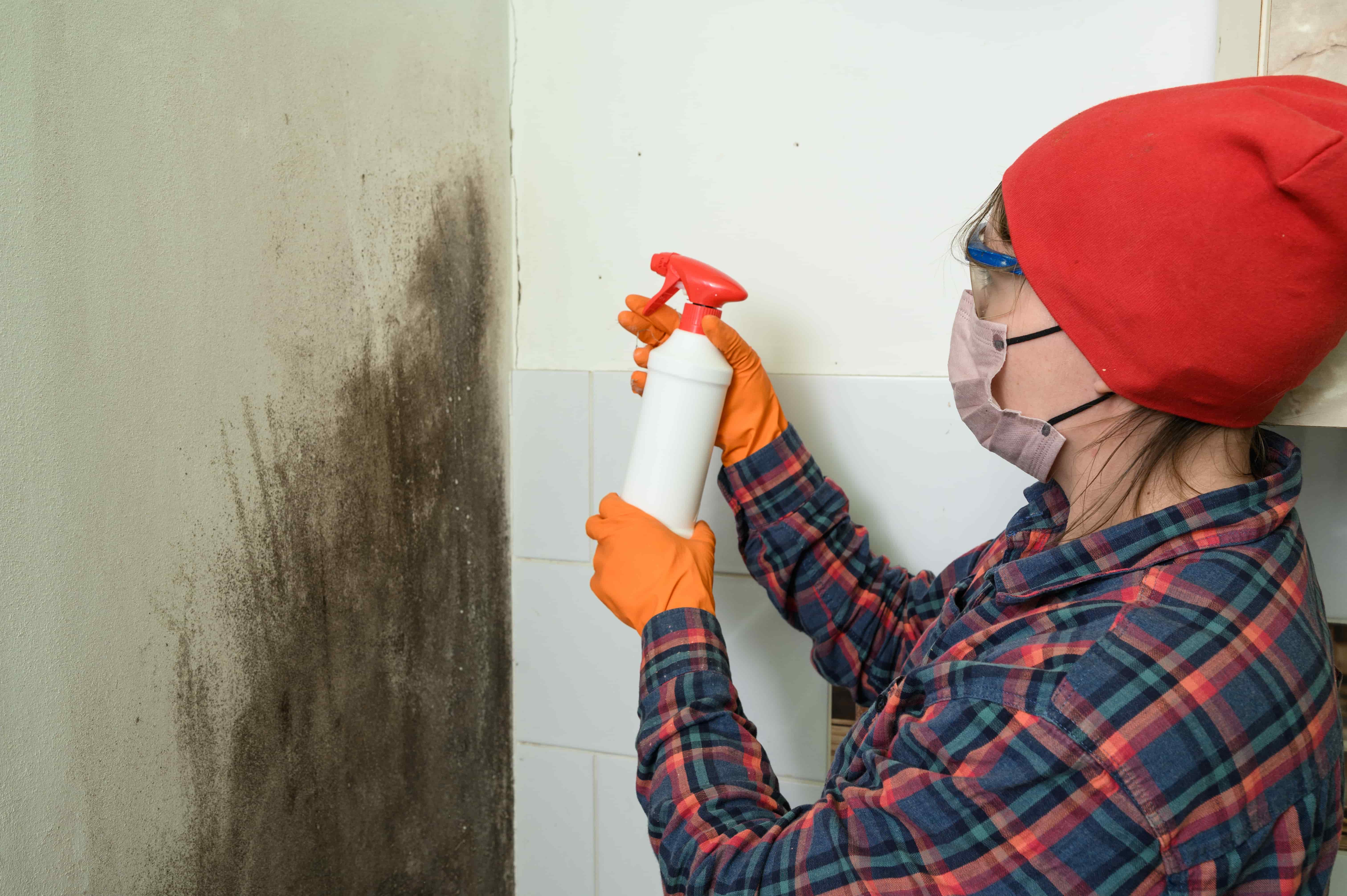 https://www.interprom.rs/media/magefan_blog/vecteezy_a-woman-sprays-a-mold-remedy-on-the-wall-mold-removal-at-home_25226856-min.jpg