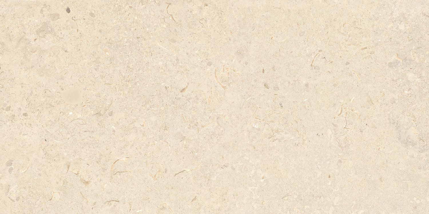 CLAM Shell granit R10 DC